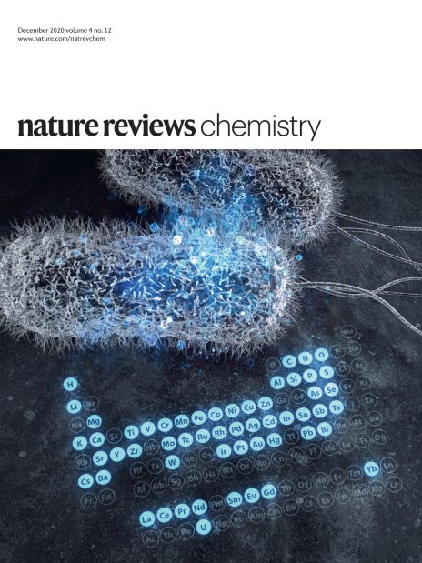 Nature Reviews Chemisty 표지(출처=KAIST) 