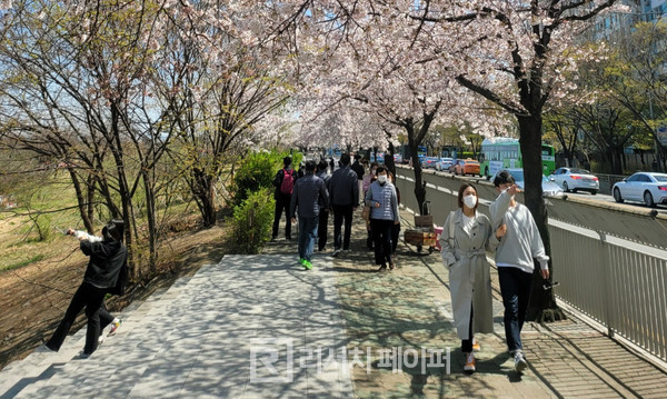 지난 15일 여의도 윤중로에 벚꽃을 보러나온 시민들의 발걸음이 이어졌다.