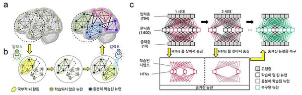 스테이싱(Stashing) 알고리즘 모식도. 뇌의 신경조율 활동은 뇌 안의 시냅스 학습정도에 따라 연결된 뉴런에 자극전달 여부를 결정하게 된다. 이에 착안해 stashing 알고리즘은 방출되는 스파이크의 빈도수를 기준으로 학습 정도를 판단하고 회로를 통해 뉴런의 연결도를 수정한다.(사진=KAIST 제공)