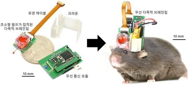 약물 전달와 뇌신호 측정이 동시에 가능한 무선 다목적 브레인칩과 이를 장착한 생쥐 사진. (고려대의료원 제공)